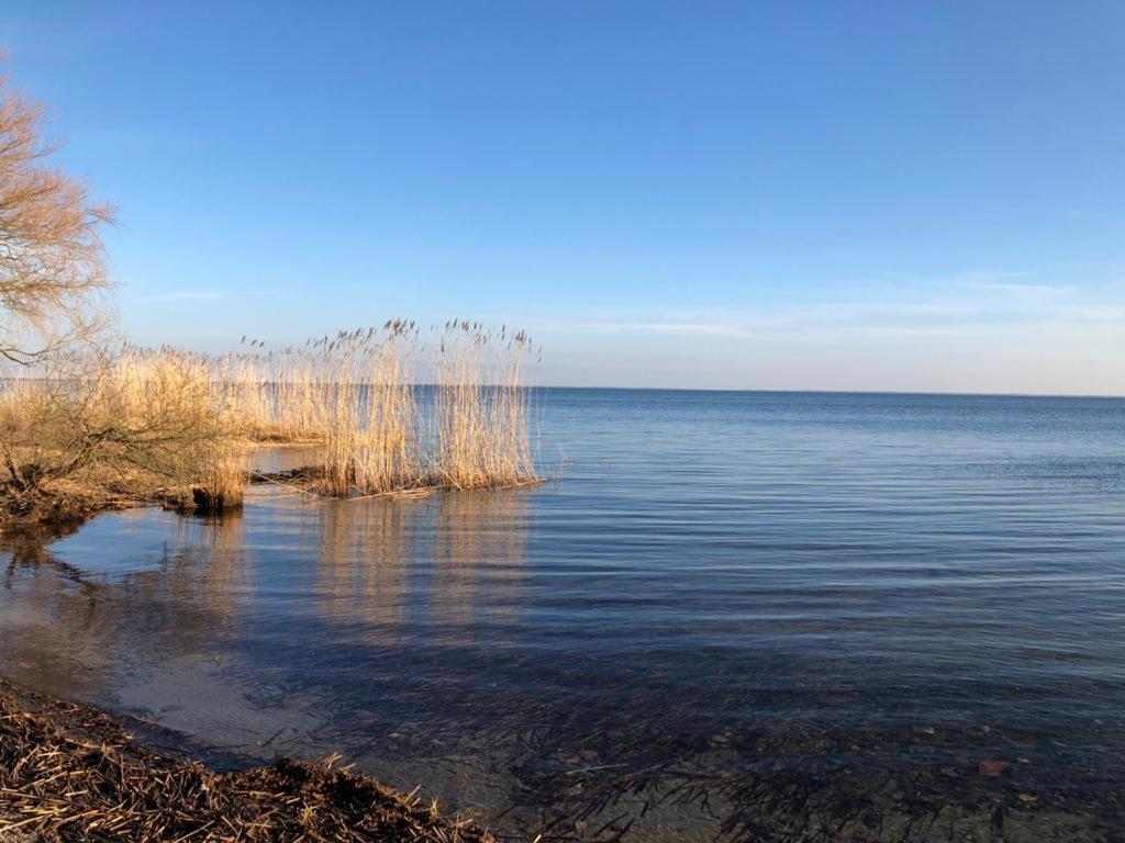 Ferienwohnung Seeblick - Insel Usedom Balm Bagian luar foto