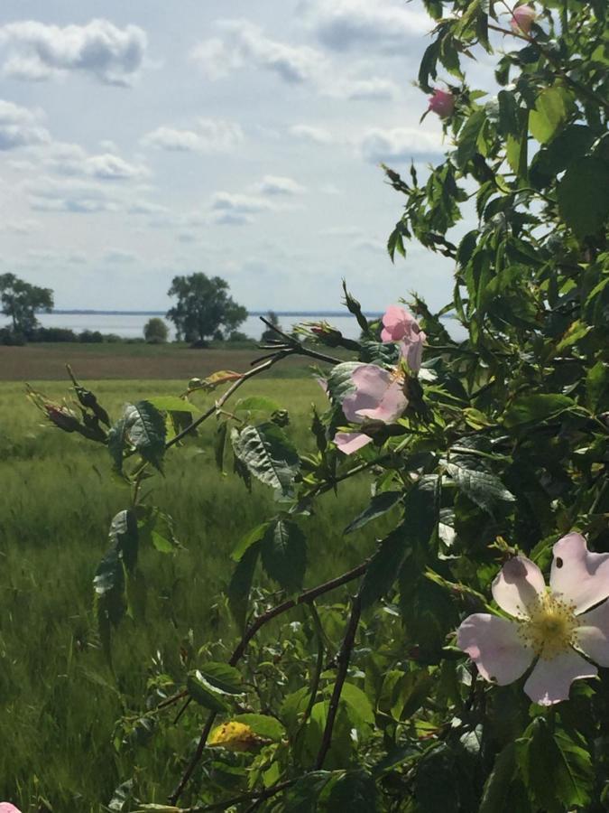 Ferienwohnung Seeblick - Insel Usedom Balm Bagian luar foto