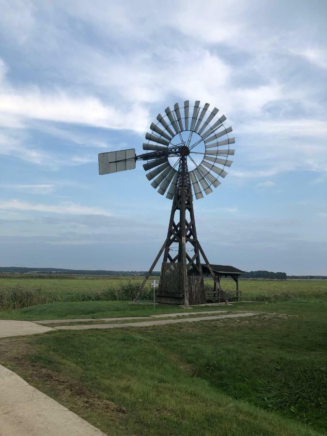 Ferienwohnung Seeblick - Insel Usedom Balm Bagian luar foto